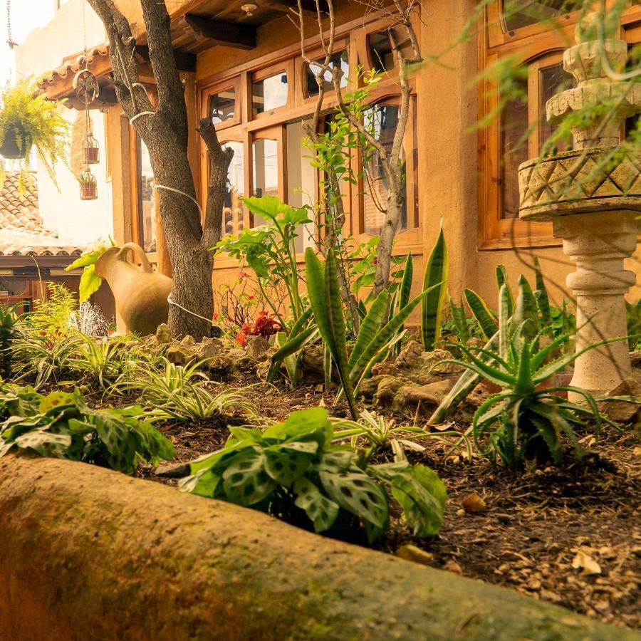 Hospedaje Boutique Paz Creativa San Cristóbal de Las Casas エクステリア 写真