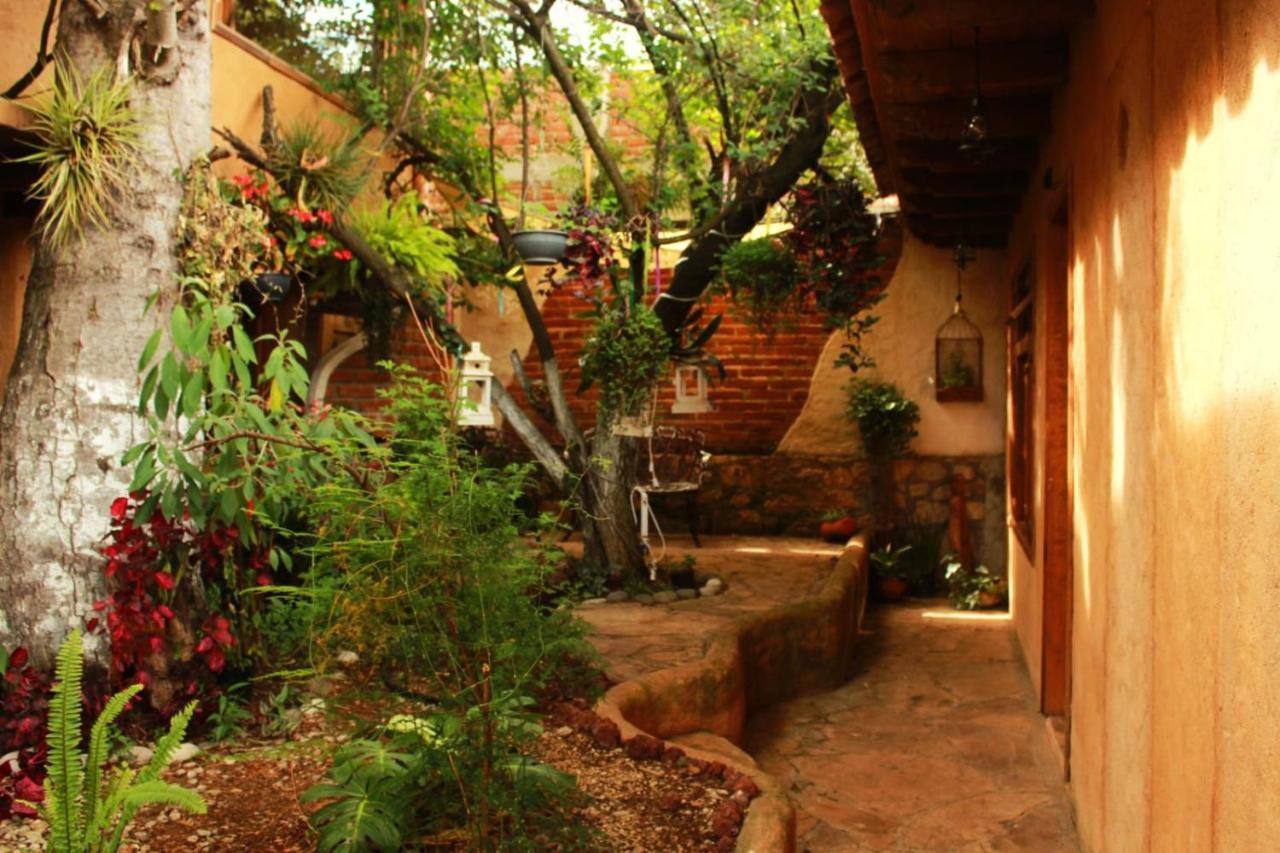 Hospedaje Boutique Paz Creativa San Cristóbal de Las Casas エクステリア 写真
