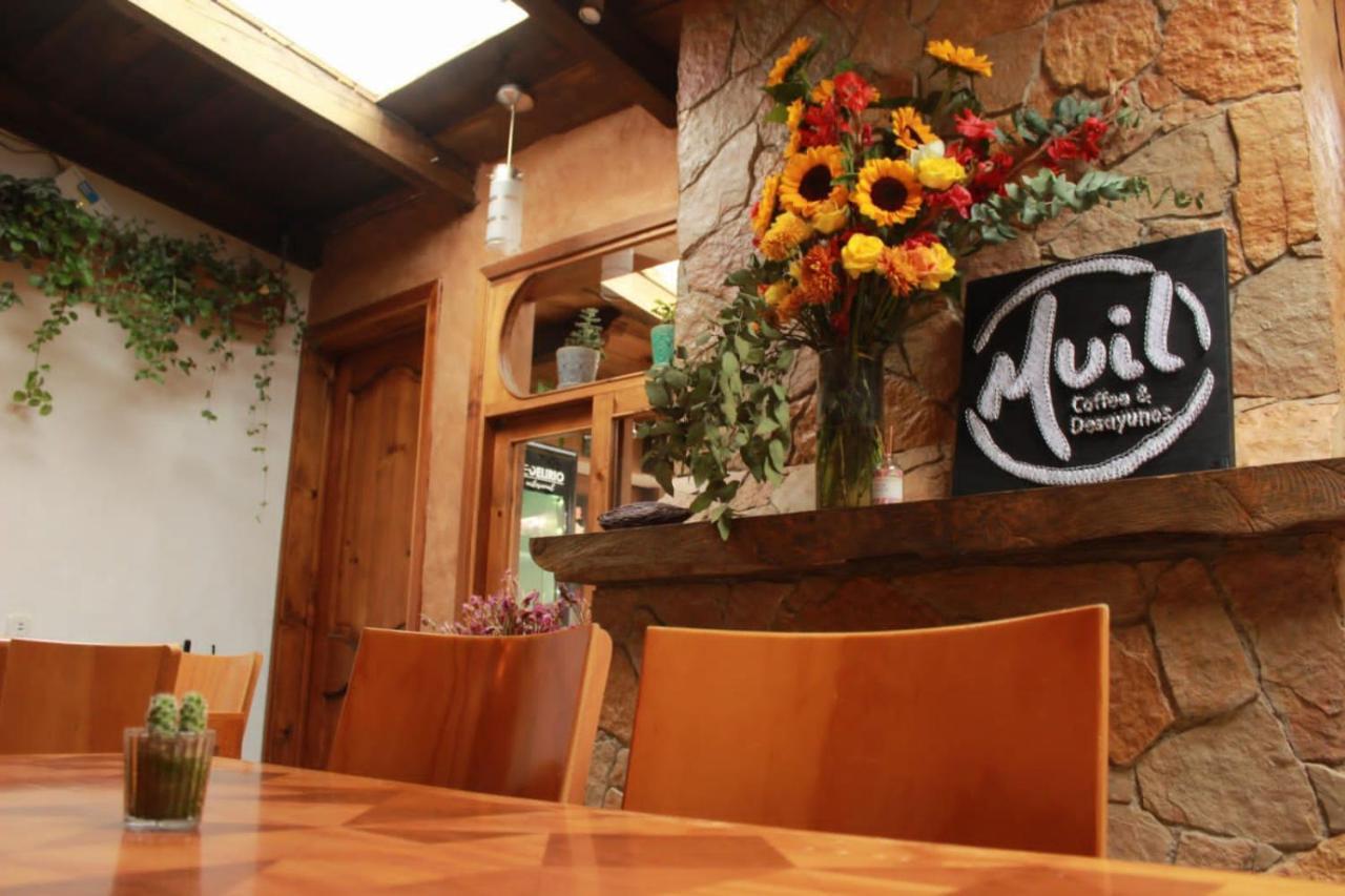 Hospedaje Boutique Paz Creativa San Cristóbal de Las Casas エクステリア 写真