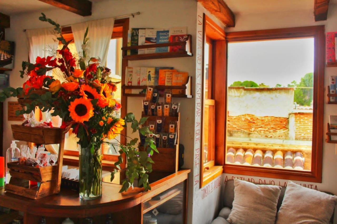 Hospedaje Boutique Paz Creativa San Cristóbal de Las Casas エクステリア 写真