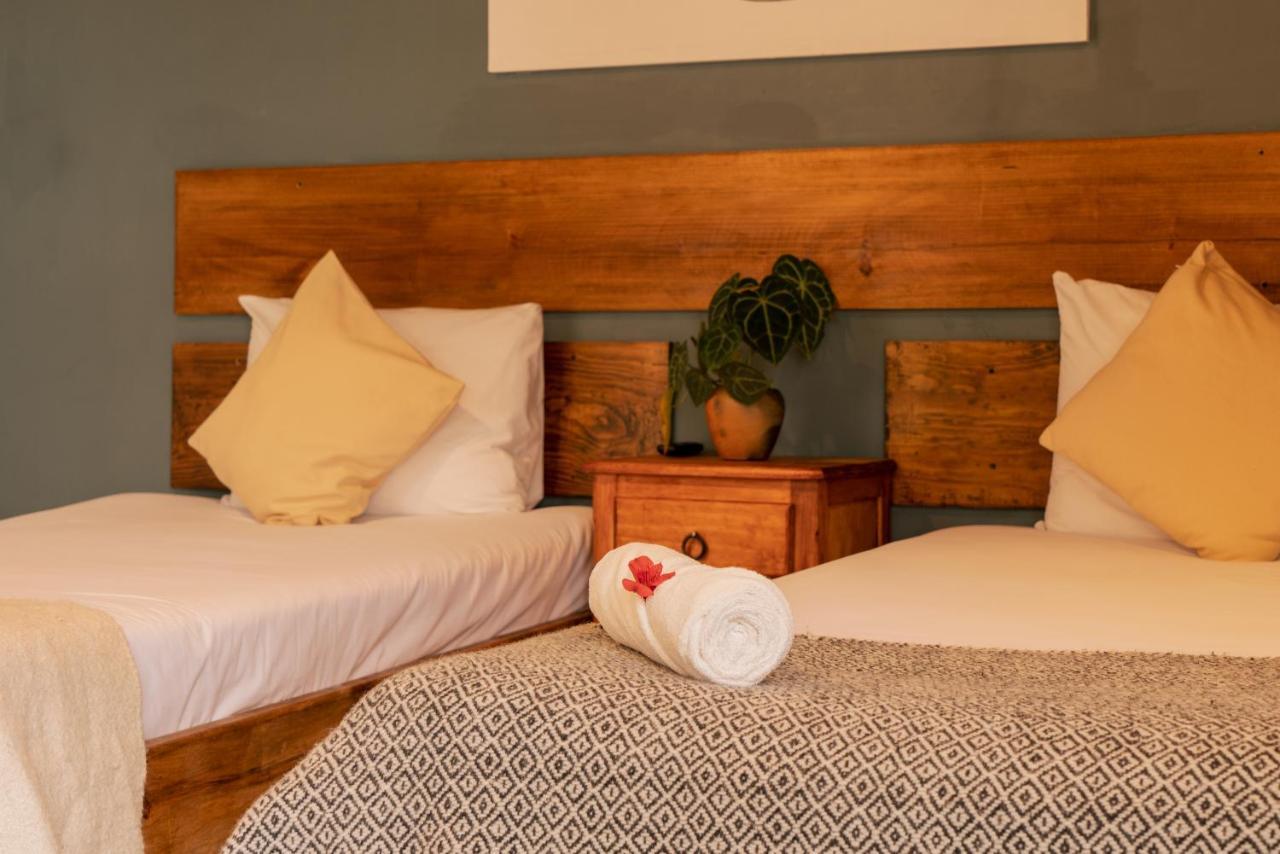 Hospedaje Boutique Paz Creativa San Cristóbal de Las Casas エクステリア 写真