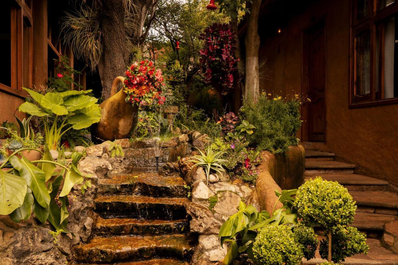 Hospedaje Boutique Paz Creativa San Cristóbal de Las Casas エクステリア 写真